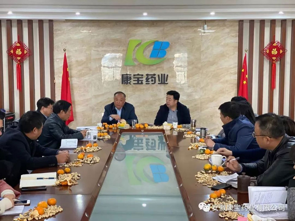 【康寶新聞】交流面對(duì)面 溝通心連心--醫(yī)院集團(tuán)董事長(zhǎng)江鴻方一行來康寶藥業(yè)調(diào)研指導(dǎo)工作